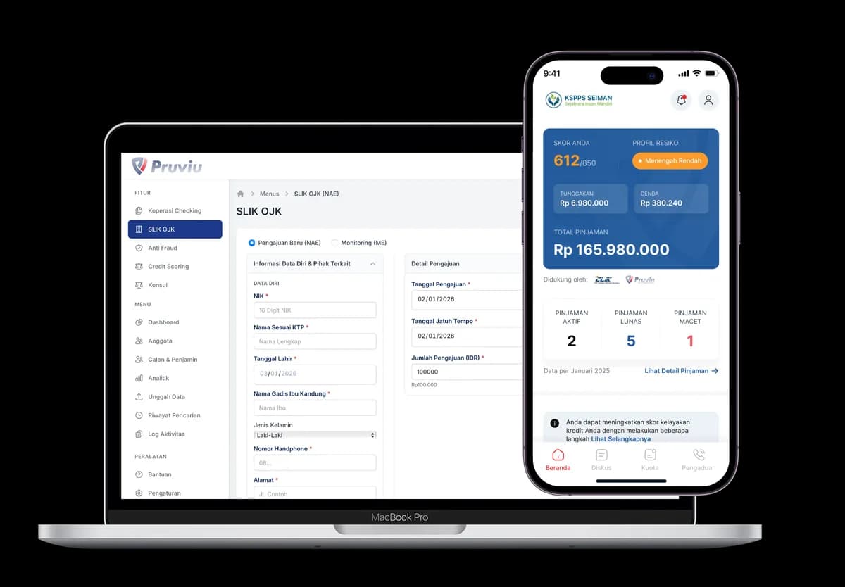 Pruviu dashboard preview